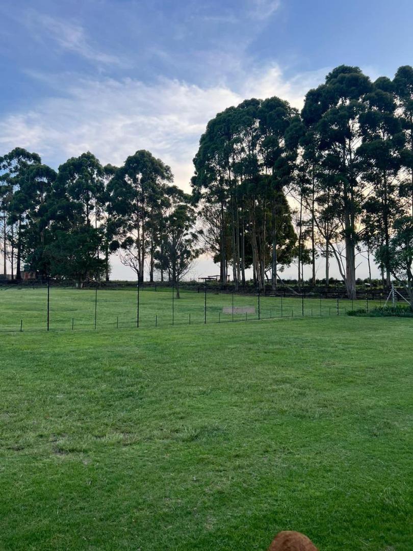 0 Bedroom Property for Sale in Badplaas Mpumalanga