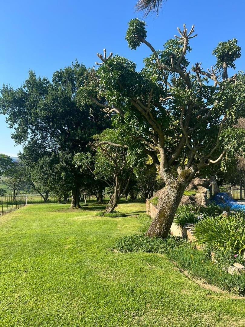 0 Bedroom Property for Sale in Badplaas Mpumalanga