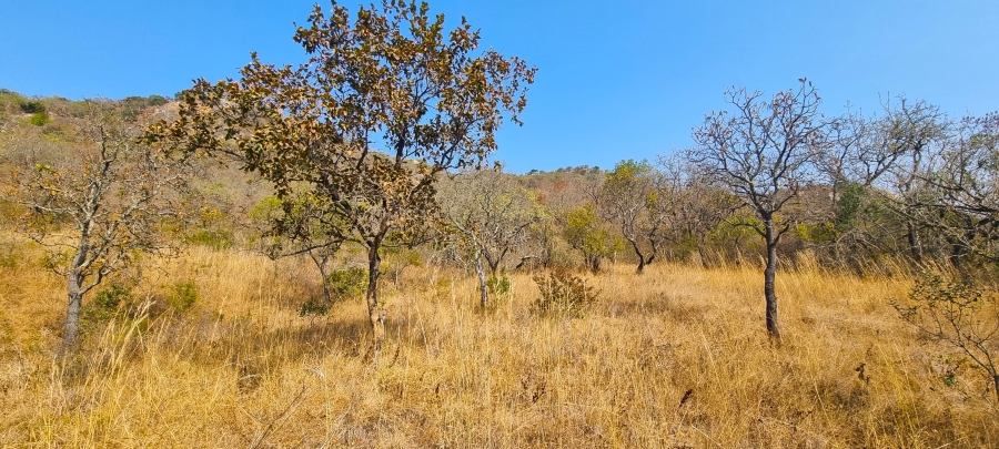 0 Bedroom Property for Sale in Nelspruit Rural Mpumalanga