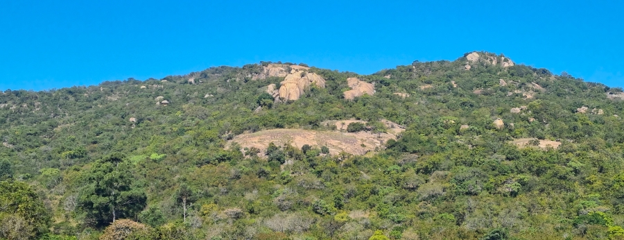 0 Bedroom Property for Sale in Nelspruit Rural Mpumalanga