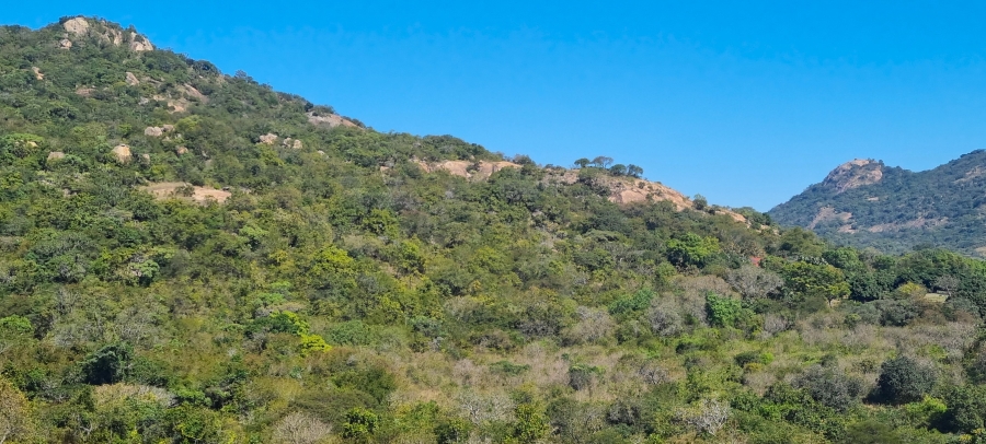 0 Bedroom Property for Sale in Nelspruit Rural Mpumalanga