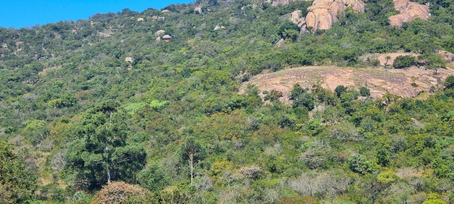 0 Bedroom Property for Sale in Nelspruit Rural Mpumalanga