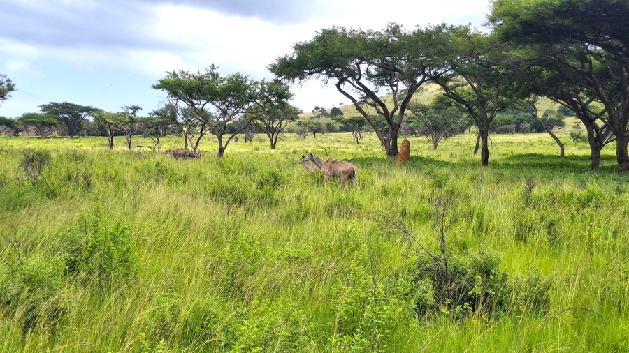 0 Bedroom Property for Sale in Hilltop AH Mpumalanga
