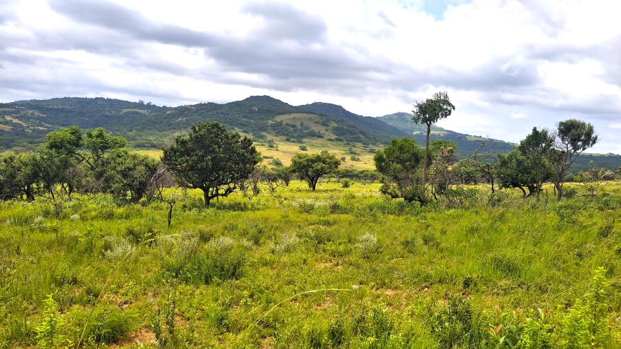 0 Bedroom Property for Sale in Hilltop AH Mpumalanga