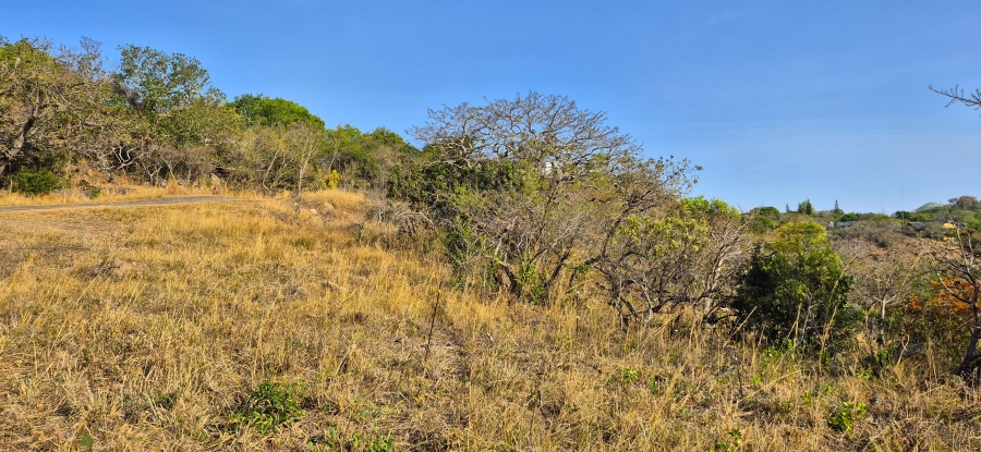 0 Bedroom Property for Sale in Uitsig Landgoed Estate Mpumalanga