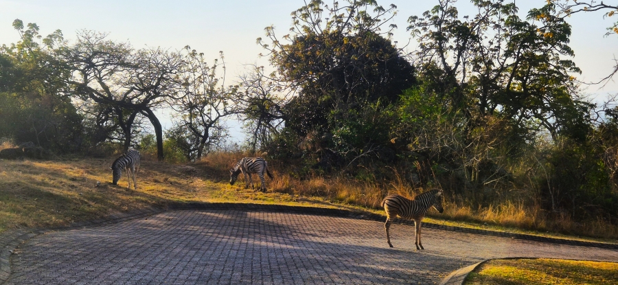 0 Bedroom Property for Sale in Uitsig Landgoed Estate Mpumalanga