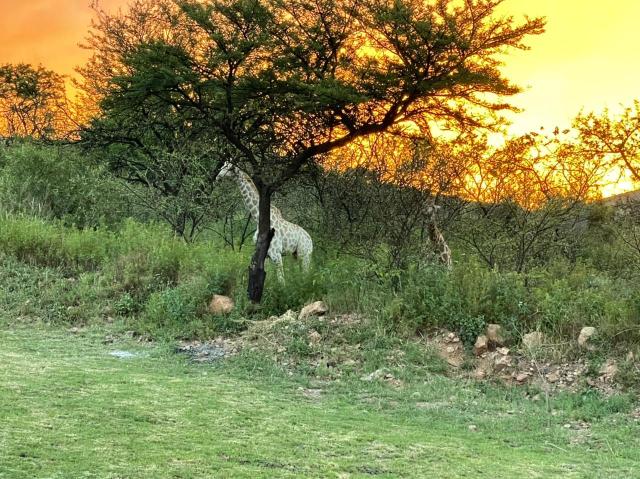 Commercial Property for Sale in Golden Mile Mpumalanga