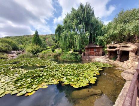 Commercial Property for Sale in Golden Mile Mpumalanga