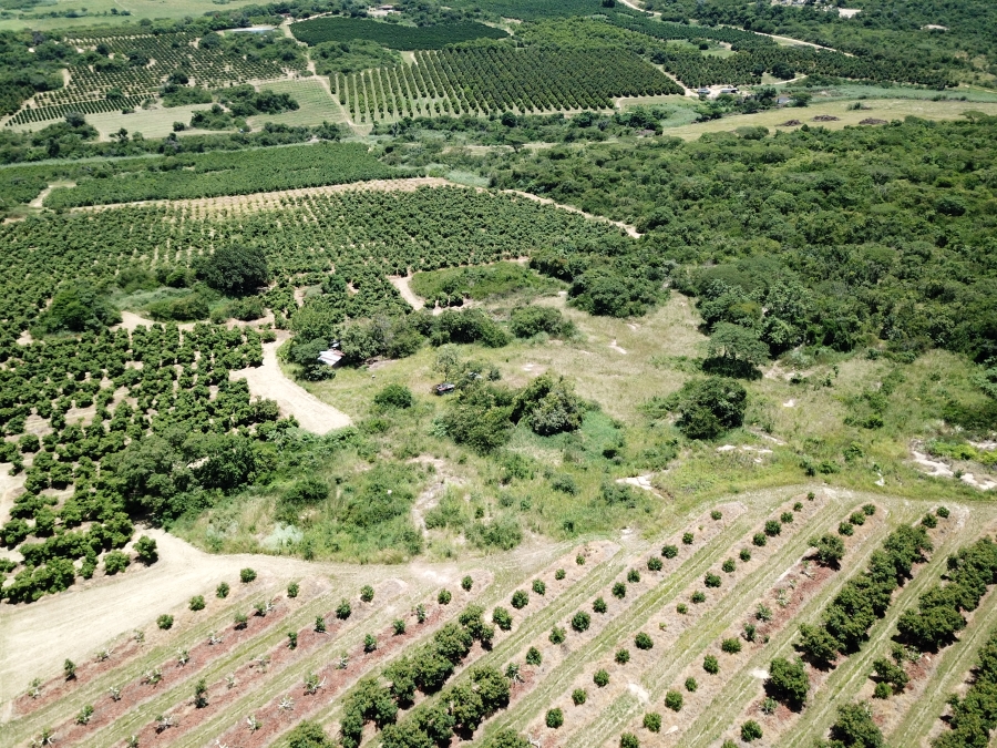 Commercial Property for Sale in Alkmaar Mpumalanga