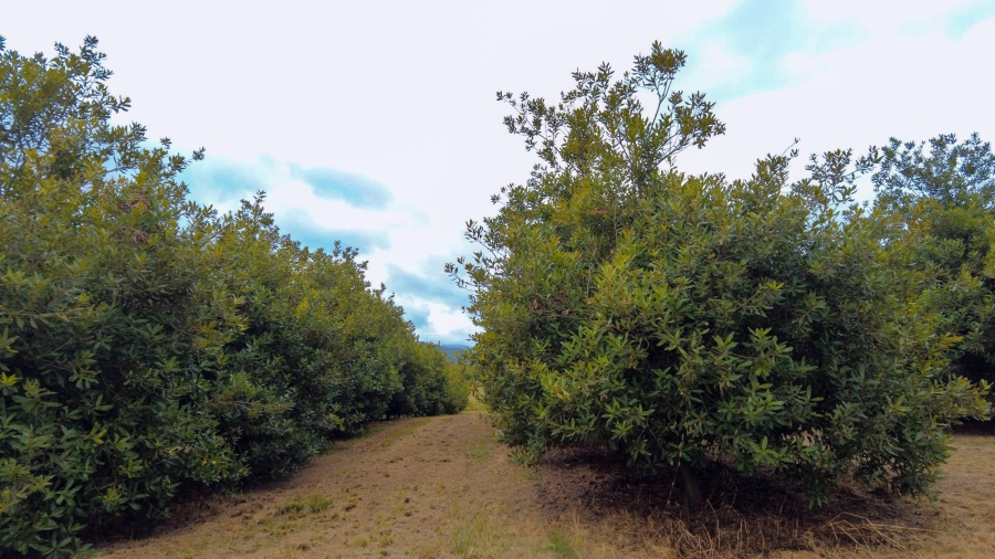Commercial Property for Sale in Alkmaar Mpumalanga