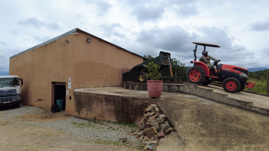 Commercial Property for Sale in Alkmaar Mpumalanga