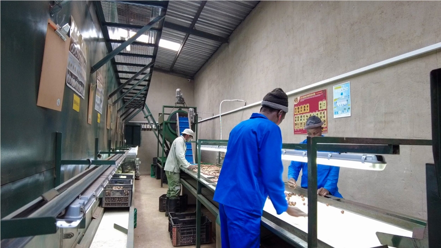 Commercial Property for Sale in Alkmaar Mpumalanga