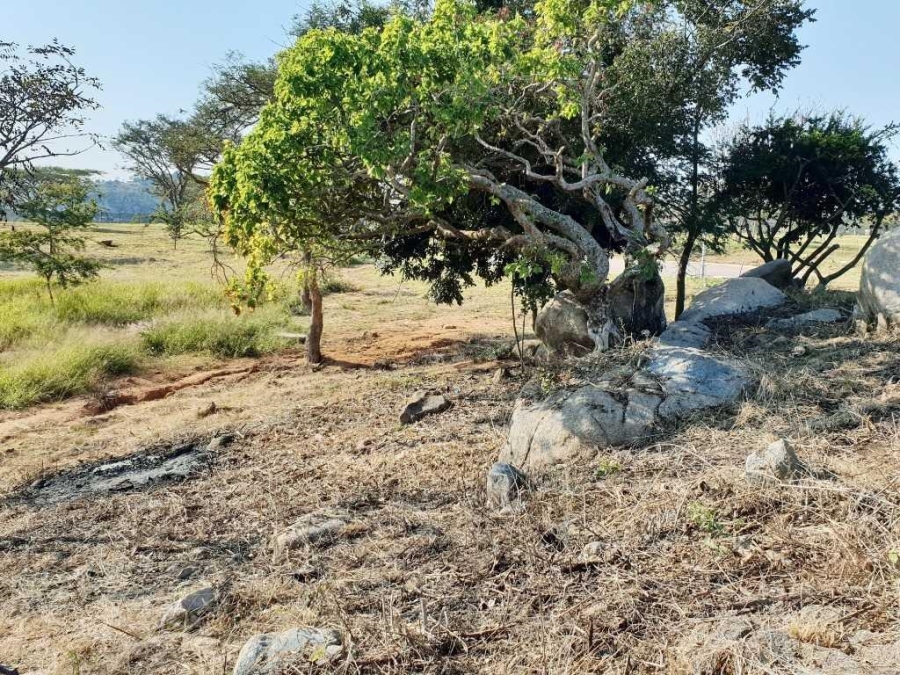 0 Bedroom Property for Sale in The Rest Nature Estate Mpumalanga