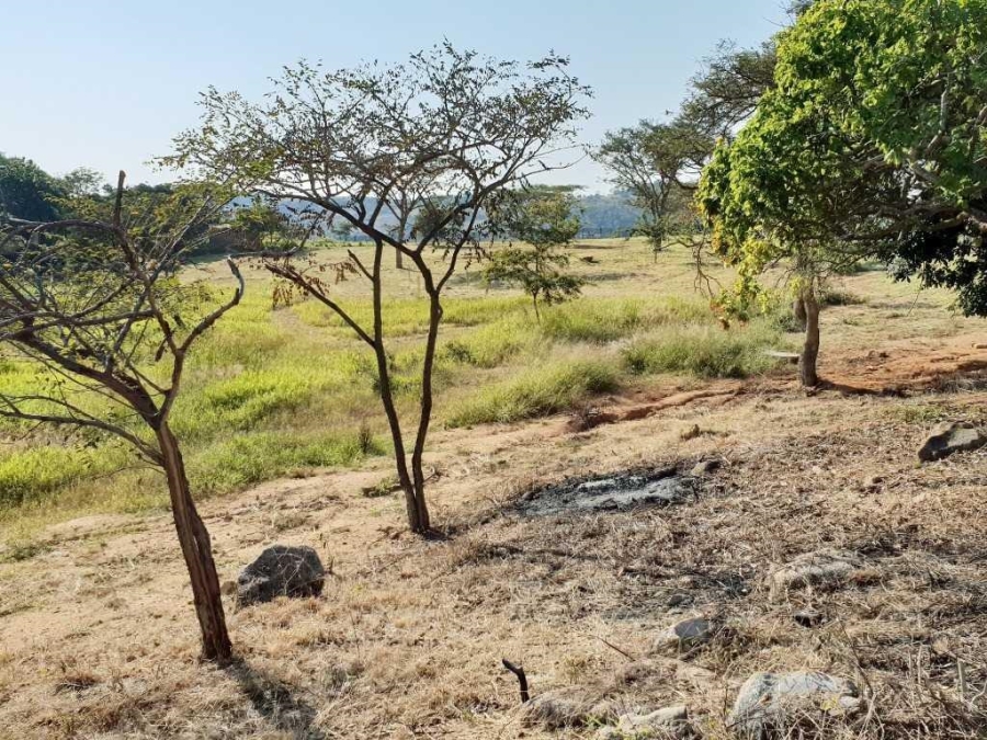 0 Bedroom Property for Sale in The Rest Nature Estate Mpumalanga
