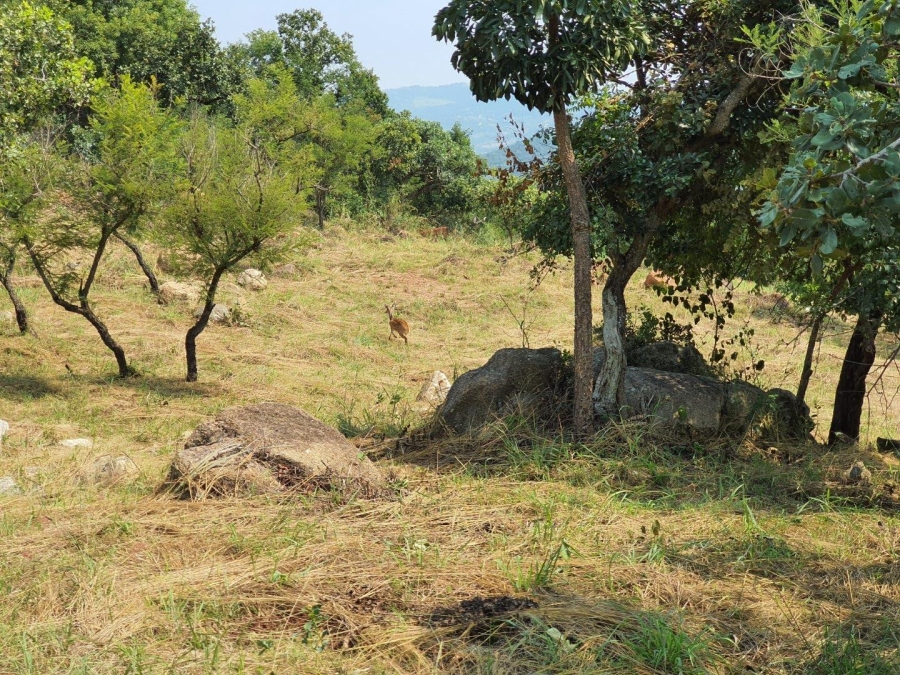 0 Bedroom Property for Sale in The Rest Nature Estate Mpumalanga