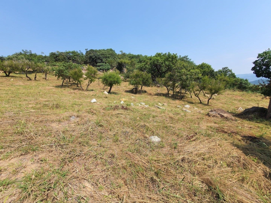 0 Bedroom Property for Sale in The Rest Nature Estate Mpumalanga
