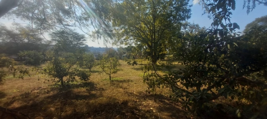0 Bedroom Property for Sale in White River Mpumalanga