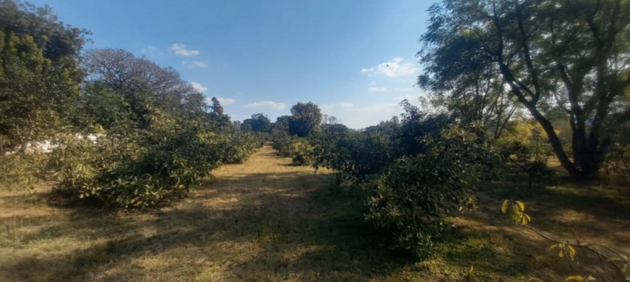 0 Bedroom Property for Sale in White River Mpumalanga
