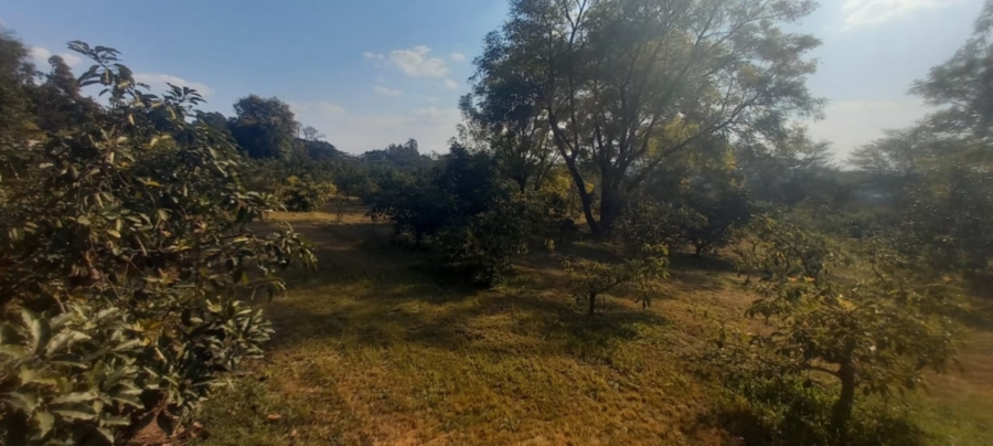 0 Bedroom Property for Sale in White River Mpumalanga