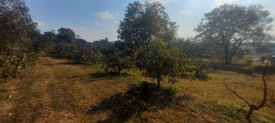 0 Bedroom Property for Sale in White River Mpumalanga