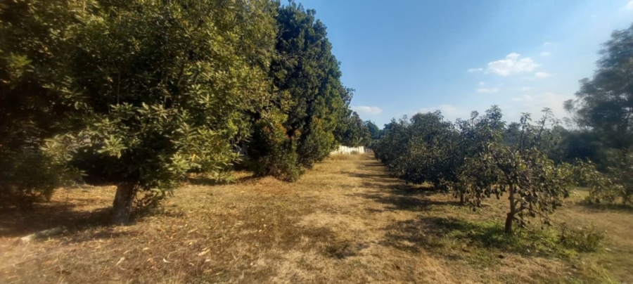 0 Bedroom Property for Sale in White River Mpumalanga