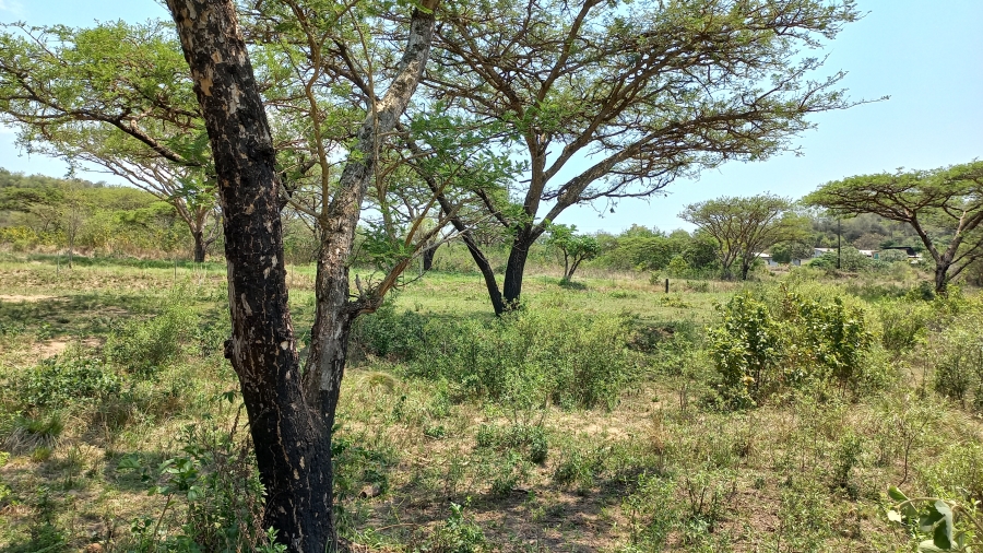 Commercial Property for Sale in Nelspruit Rural Mpumalanga