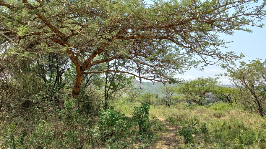 Commercial Property for Sale in Nelspruit Rural Mpumalanga