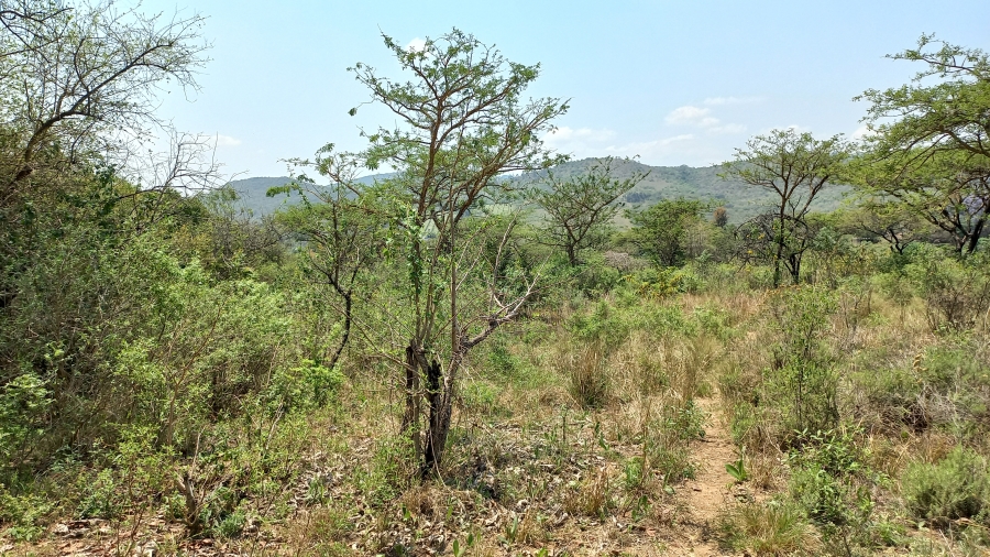 Commercial Property for Sale in Nelspruit Rural Mpumalanga