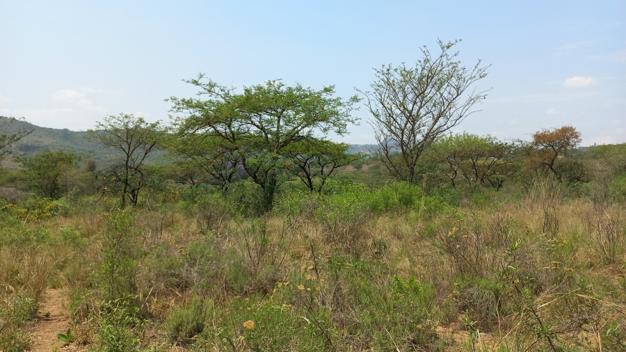 Commercial Property for Sale in Nelspruit Rural Mpumalanga