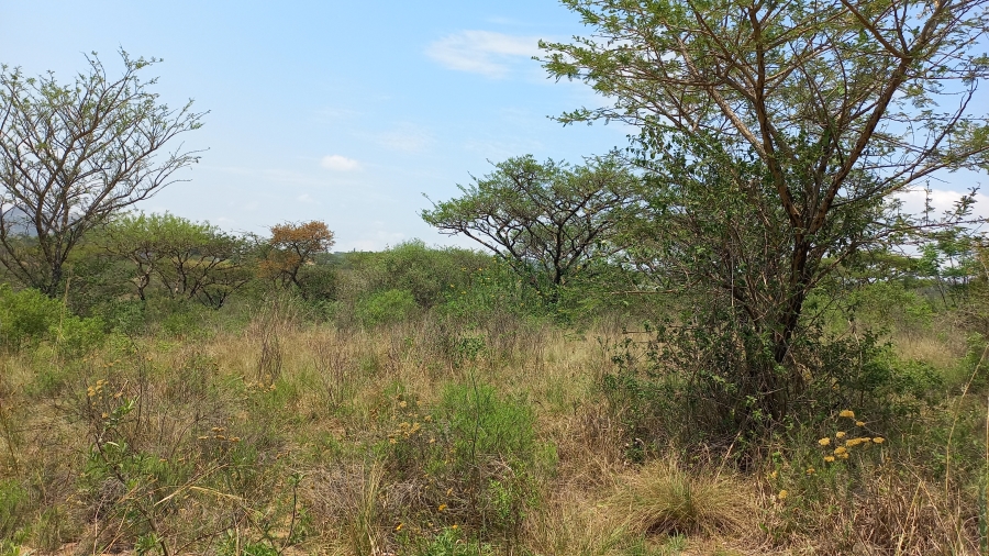 Commercial Property for Sale in Nelspruit Rural Mpumalanga