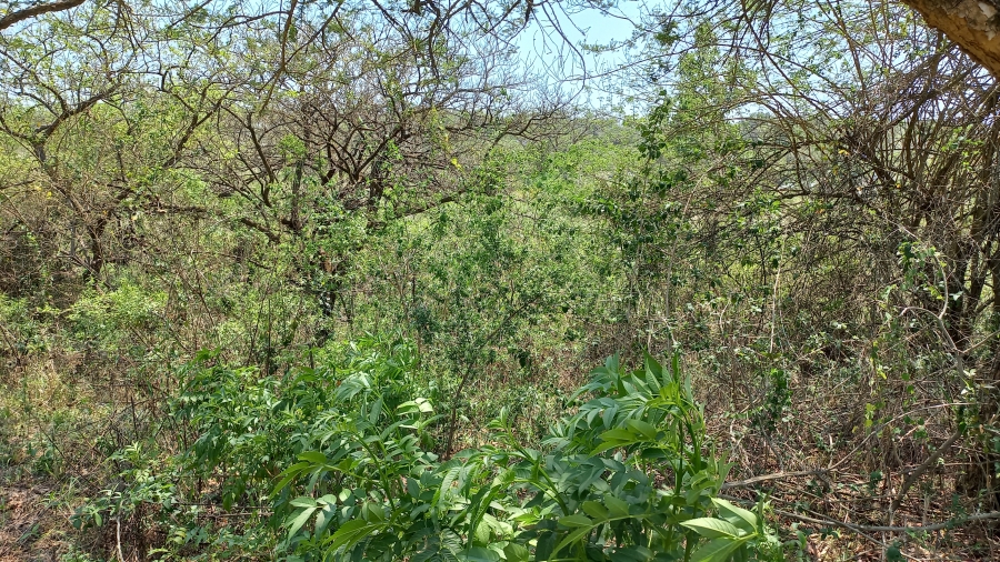 Commercial Property for Sale in Nelspruit Rural Mpumalanga