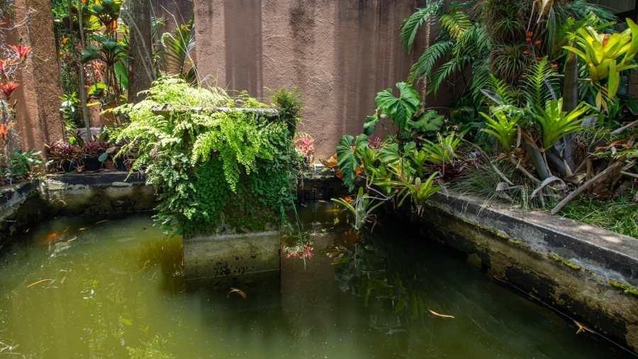 Commercial Property for Sale in White River Ext 5 Mpumalanga