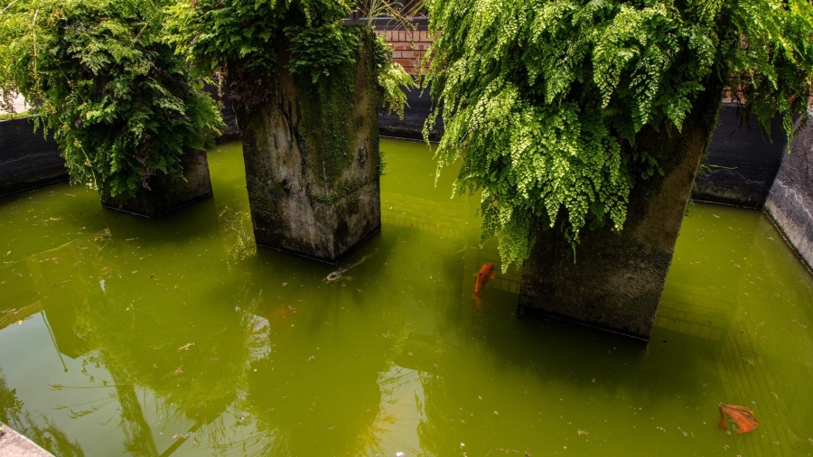 Commercial Property for Sale in White River Ext 5 Mpumalanga