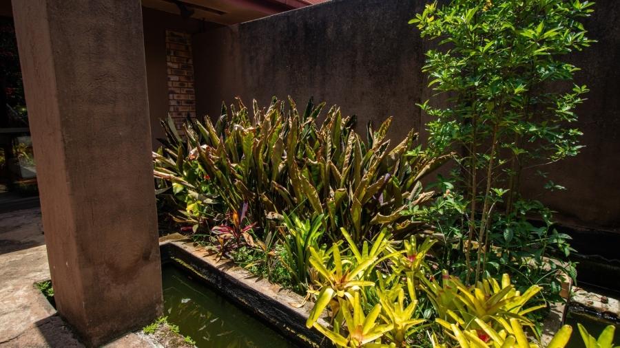 Commercial Property for Sale in White River Ext 5 Mpumalanga