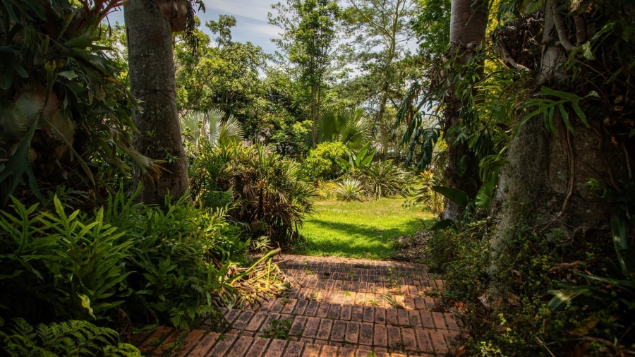 Commercial Property for Sale in White River Ext 5 Mpumalanga