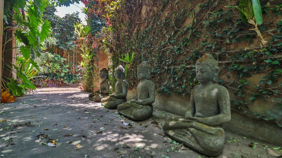 Commercial Property for Sale in White River Ext 5 Mpumalanga