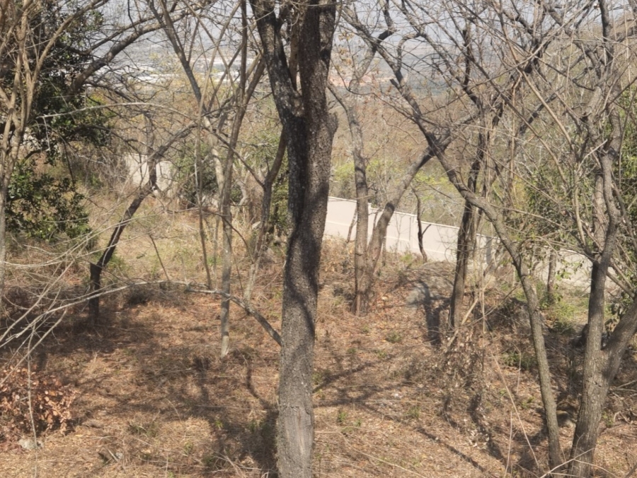 0 Bedroom Property for Sale in Drum Rock Mpumalanga