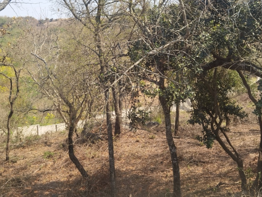 0 Bedroom Property for Sale in Drum Rock Mpumalanga