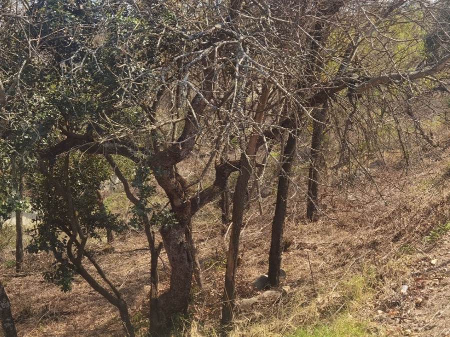 0 Bedroom Property for Sale in Drum Rock Mpumalanga