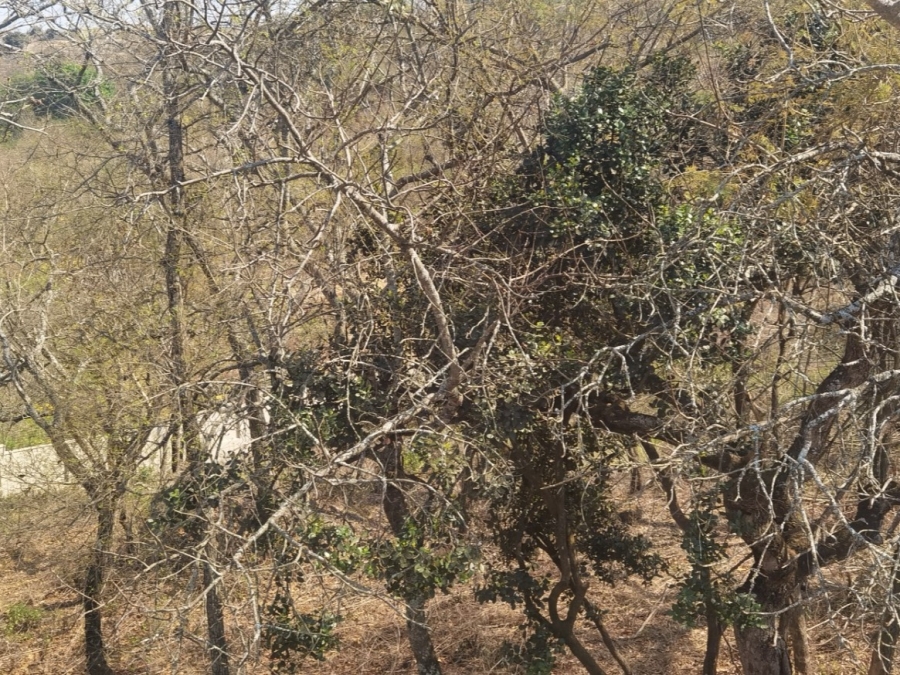 0 Bedroom Property for Sale in Drum Rock Mpumalanga