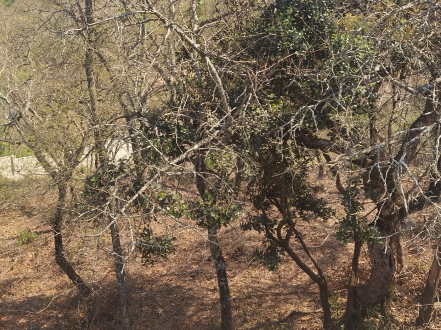 0 Bedroom Property for Sale in Drum Rock Mpumalanga