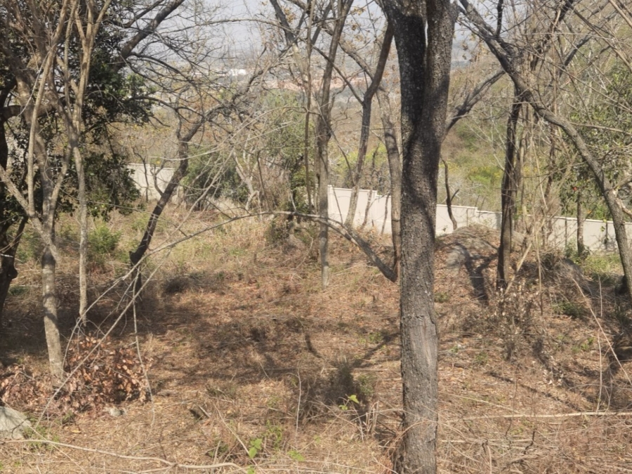 0 Bedroom Property for Sale in Drum Rock Mpumalanga