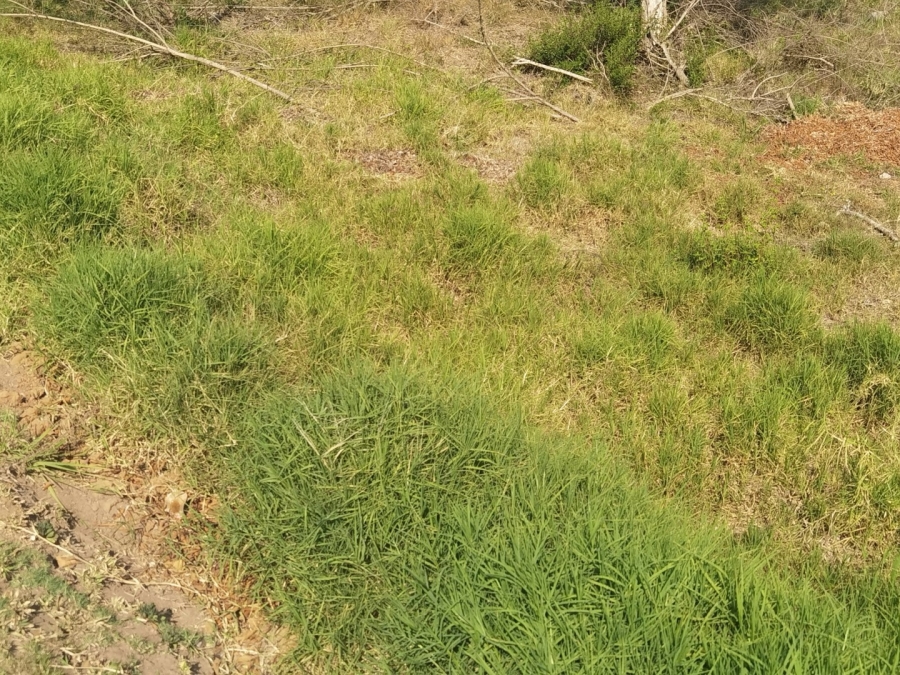 0 Bedroom Property for Sale in Drum Rock Mpumalanga