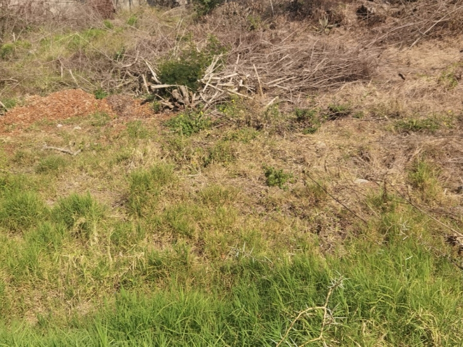 0 Bedroom Property for Sale in Drum Rock Mpumalanga
