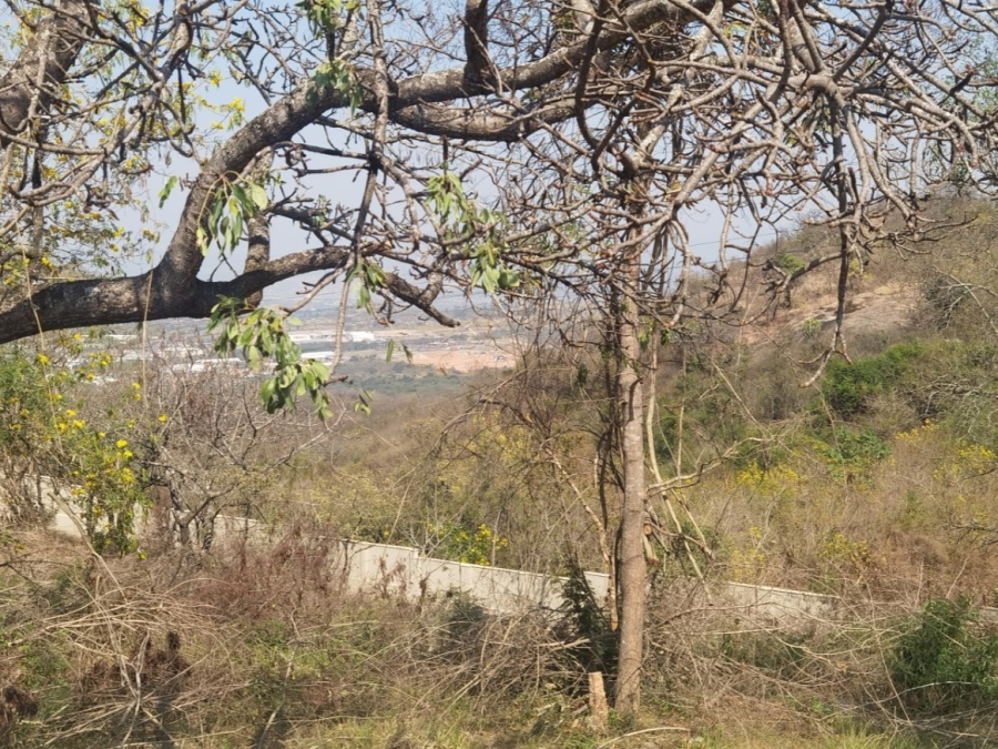 0 Bedroom Property for Sale in Drum Rock Mpumalanga