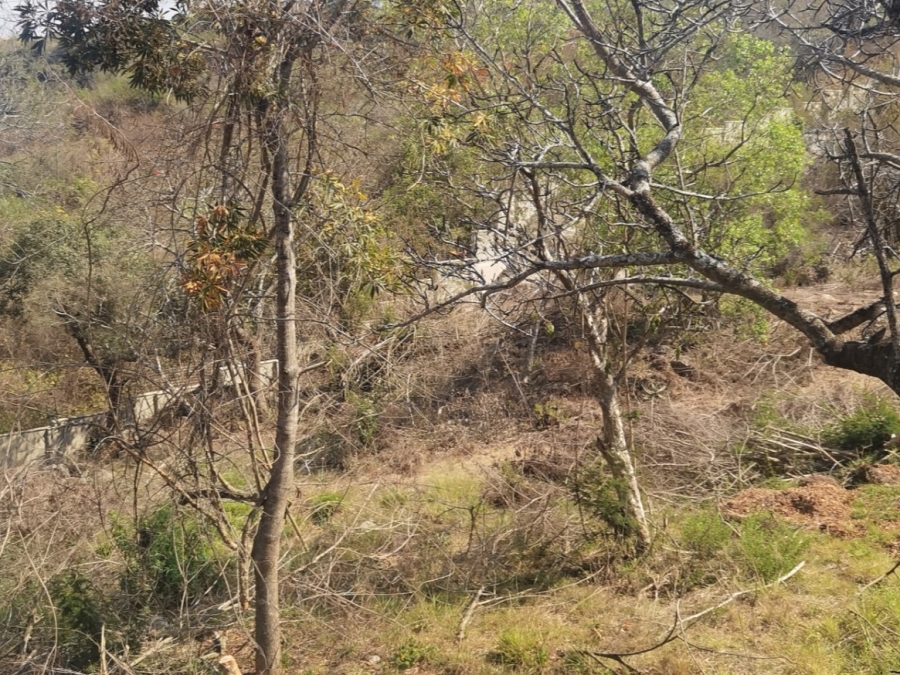 0 Bedroom Property for Sale in Drum Rock Mpumalanga