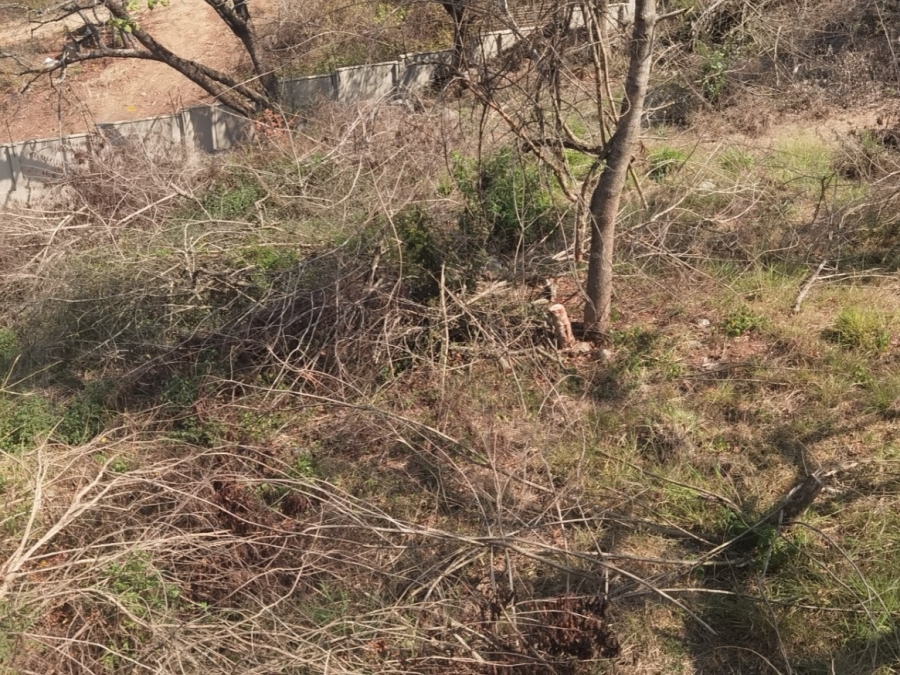 0 Bedroom Property for Sale in Drum Rock Mpumalanga