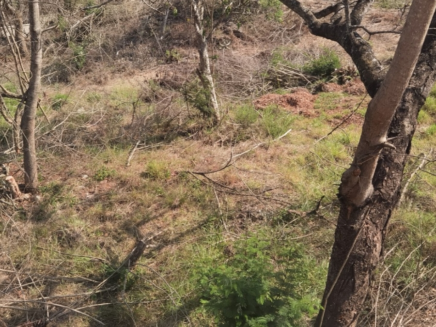0 Bedroom Property for Sale in Drum Rock Mpumalanga