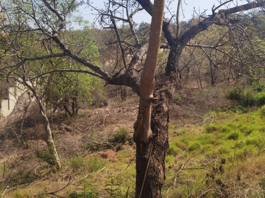 0 Bedroom Property for Sale in Drum Rock Mpumalanga