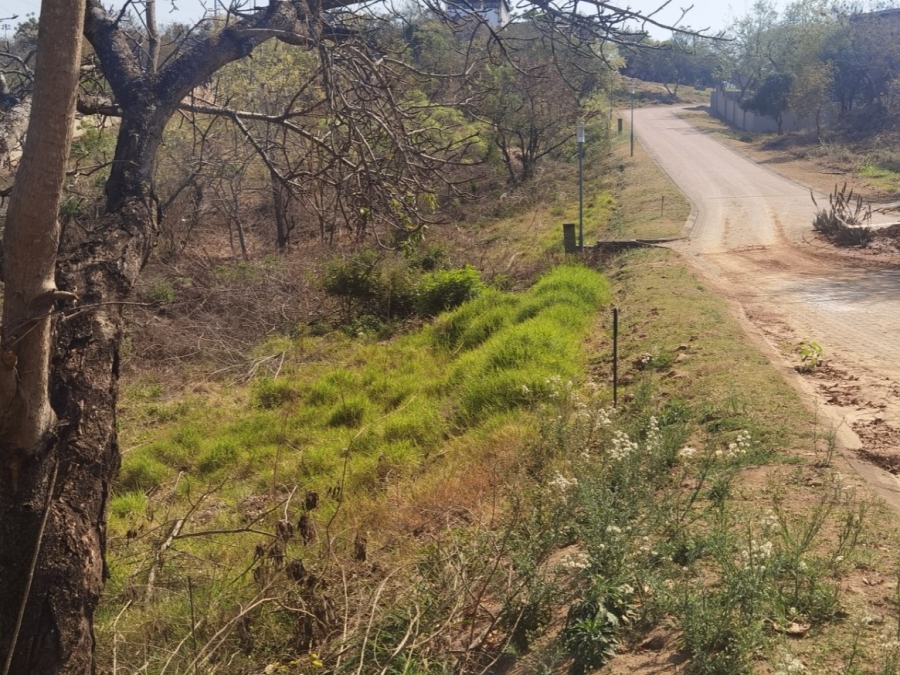 0 Bedroom Property for Sale in Drum Rock Mpumalanga